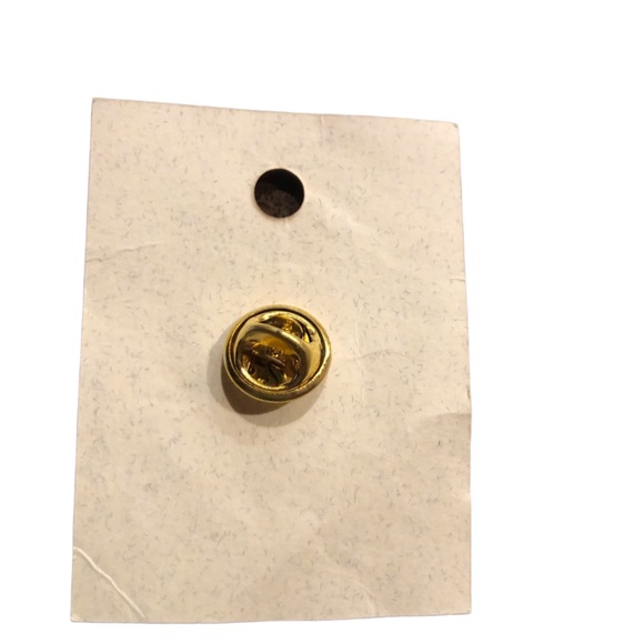 Alaska State Map Big Dipper North Star Lapel Hat Pin Souvenir 1” Tour Guide Swag - Picture 4 of 6